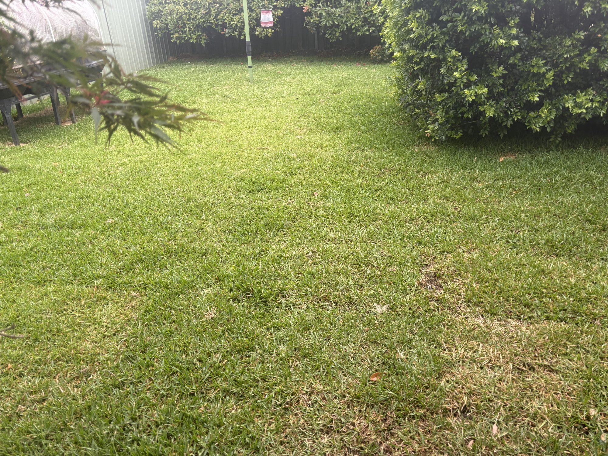 Turf laying