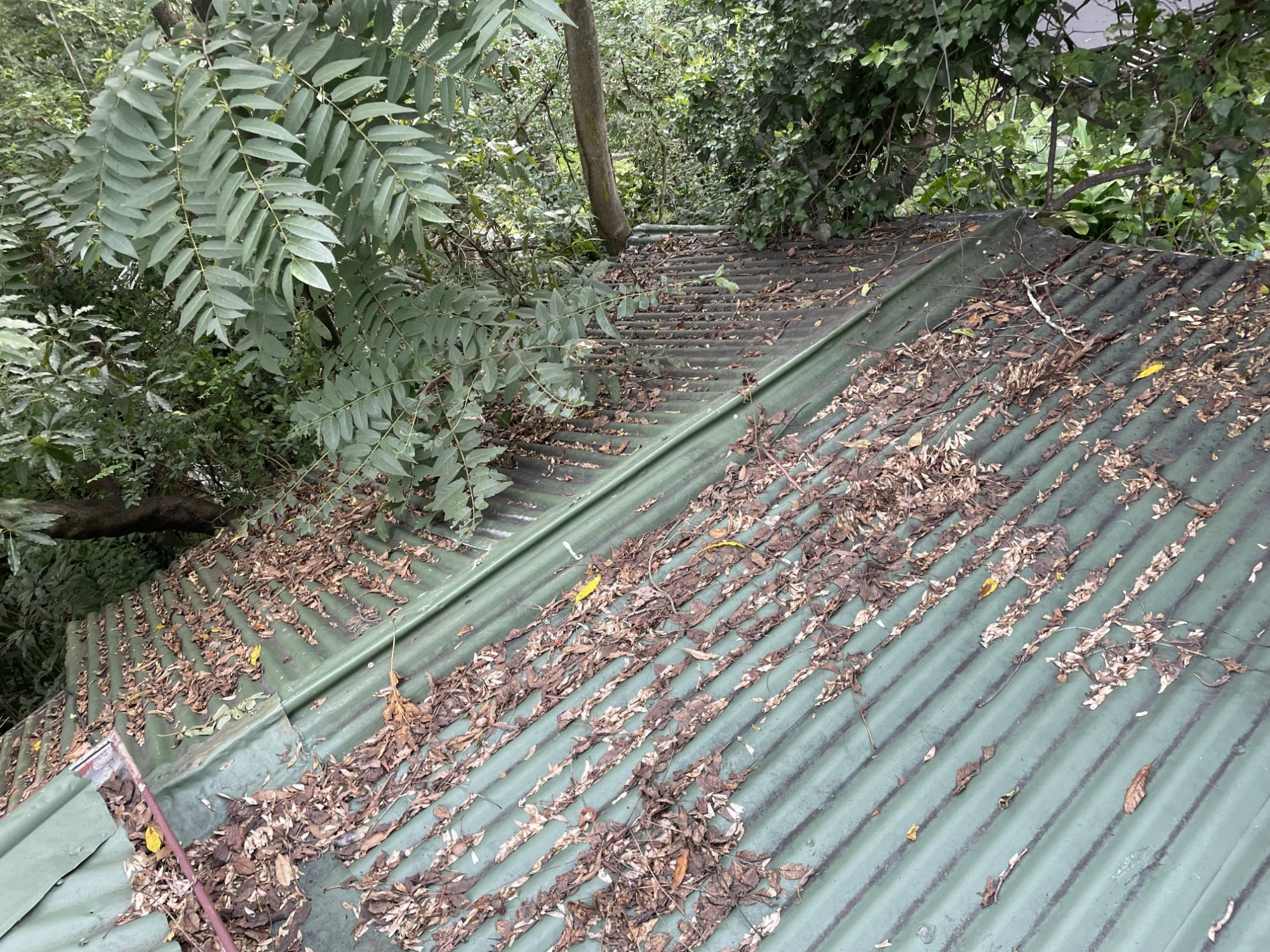 Gutters before cleaning
